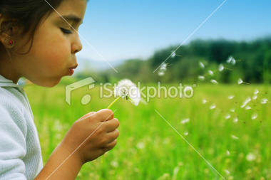istockphoto_1921014-wishes_3