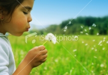 istockphoto_1921014-wishes_3